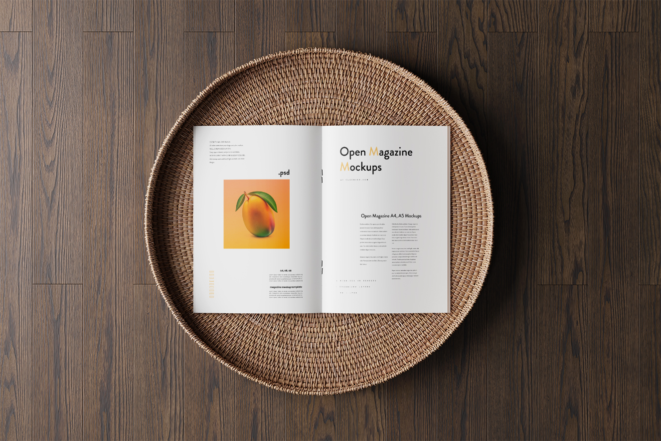 高颜值杂志画册样机6组插图5