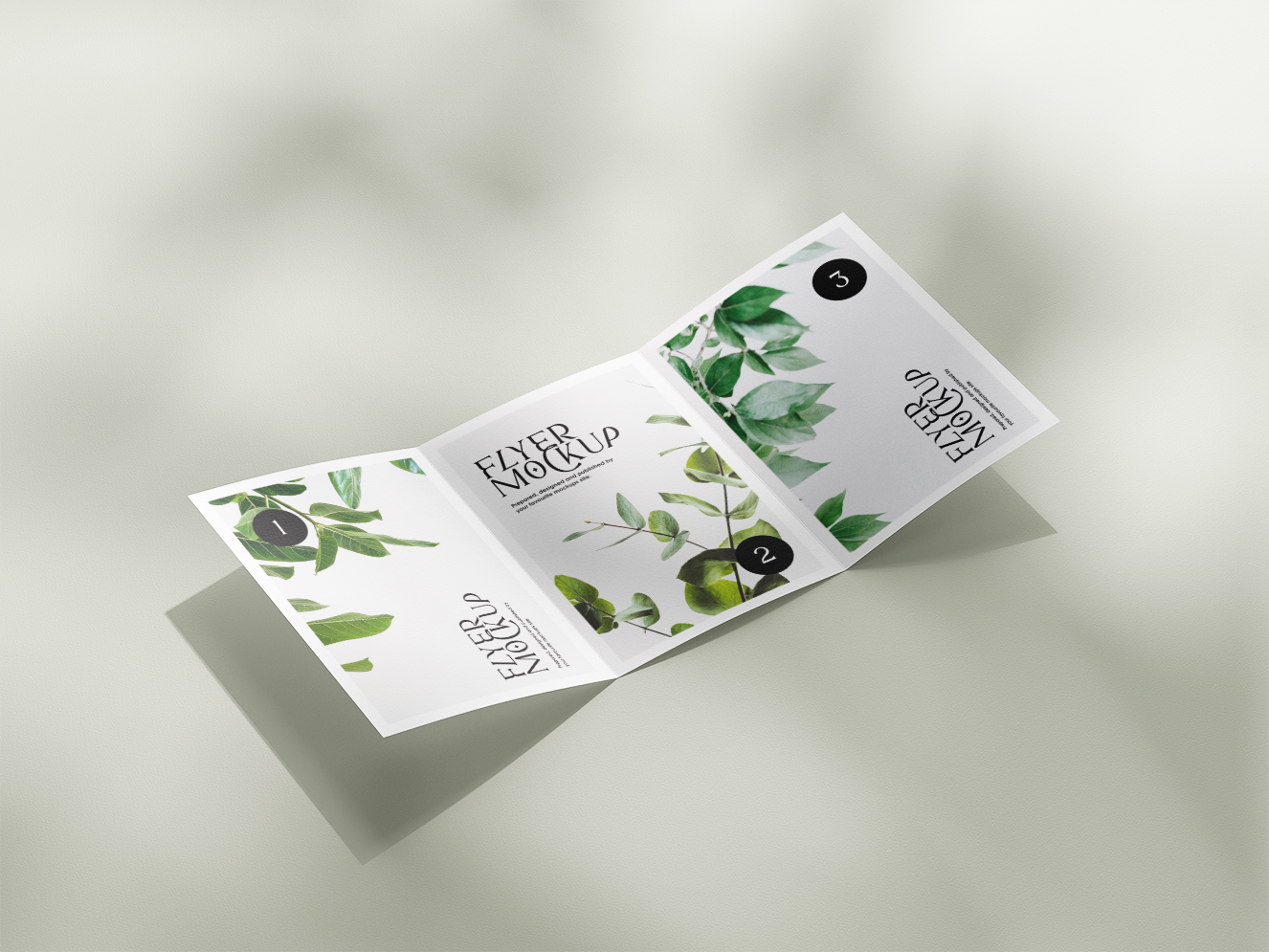 高质感三折页传单样机5组插图