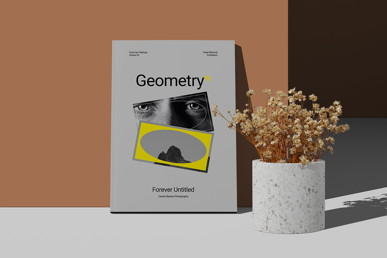 带有干燥植物的A4杂志封面画册样机插图