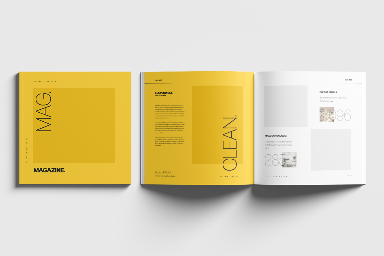 杂志画册样机4组插图2