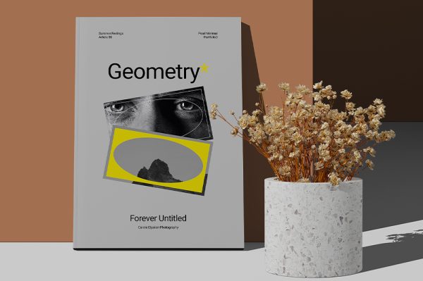 带有干燥植物的A4杂志封面画册样机