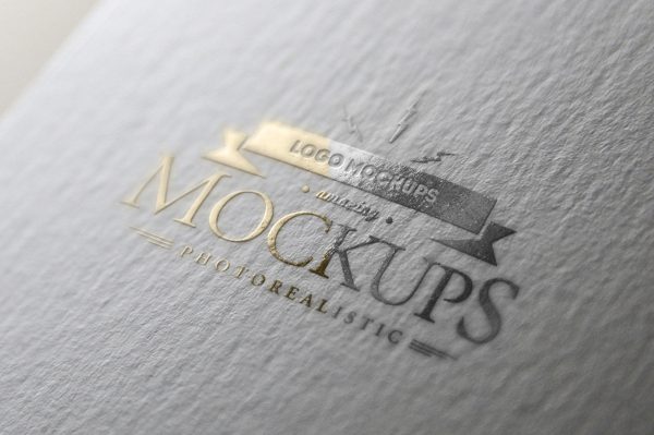 高质感纹理白卡纸烫金烫银可变LOGO样机