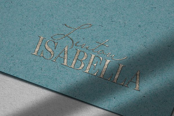 0高质感优雅纹理烫银LOGO样机