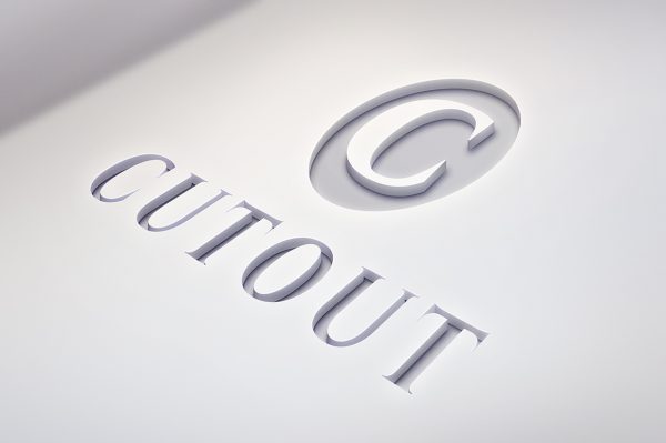 白色材质凹进立体LOGO样机