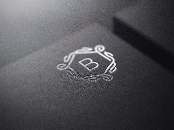 高质感黑卡纸烫银LOGO样机