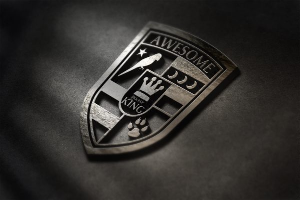 高质感金属材质立体LOGO样机