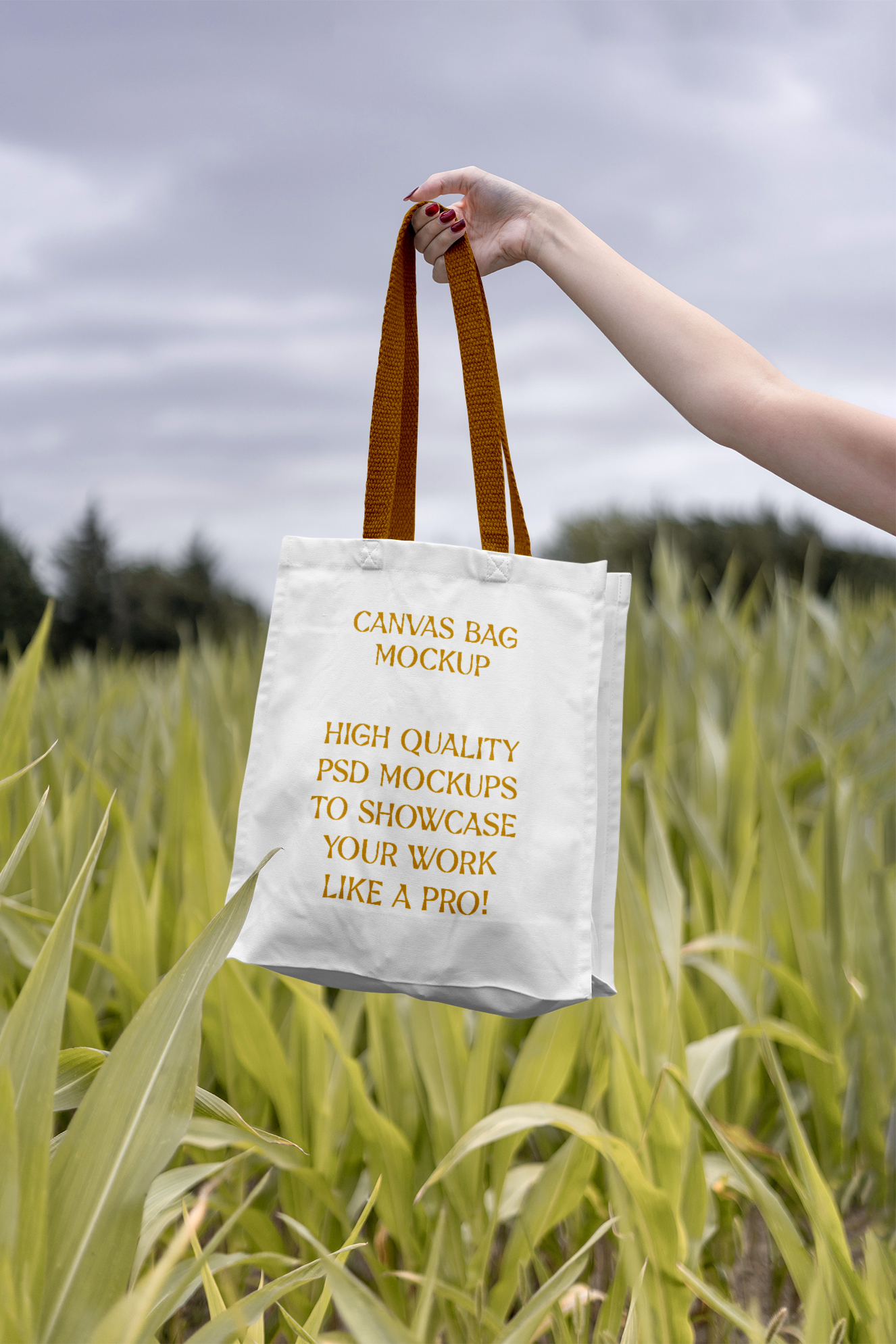 帆布袋帆布包样机插图