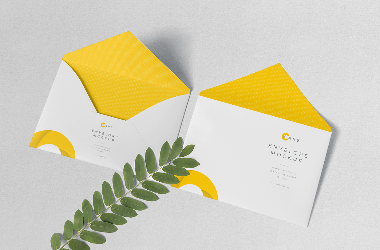 带绿植的信封样机4组Mockup插图