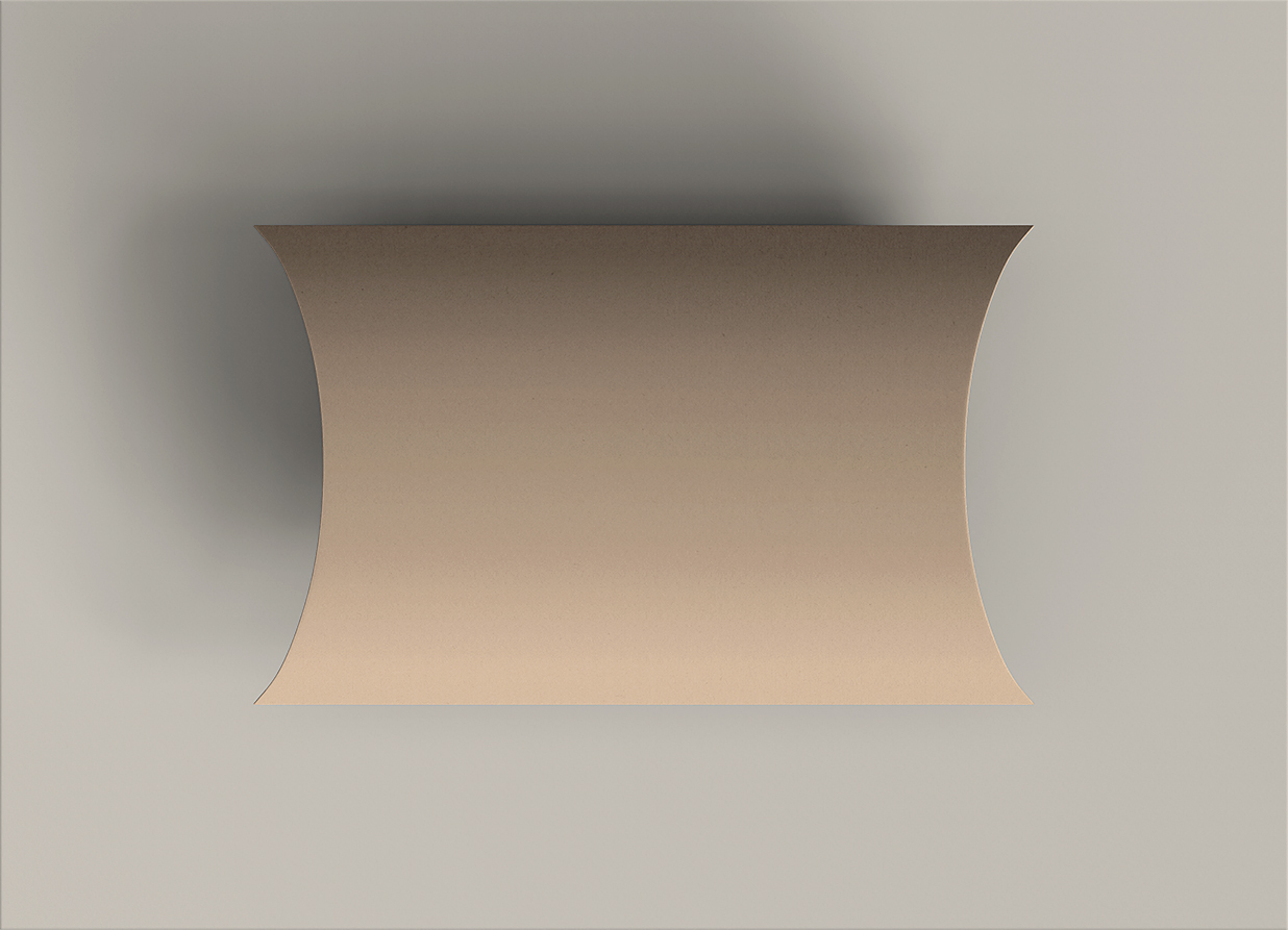 水果派包装袋样机17组插图