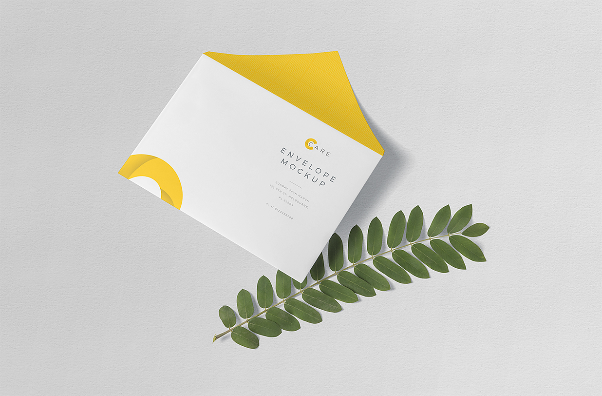 带绿植的信封样机4组Mockup插图2