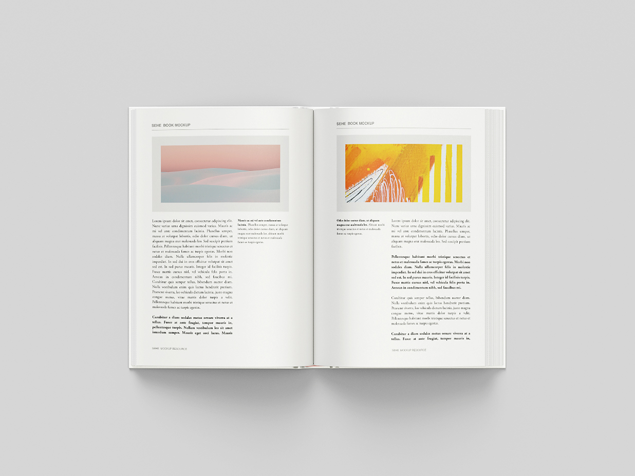 优雅的精装书籍样机6组插图3