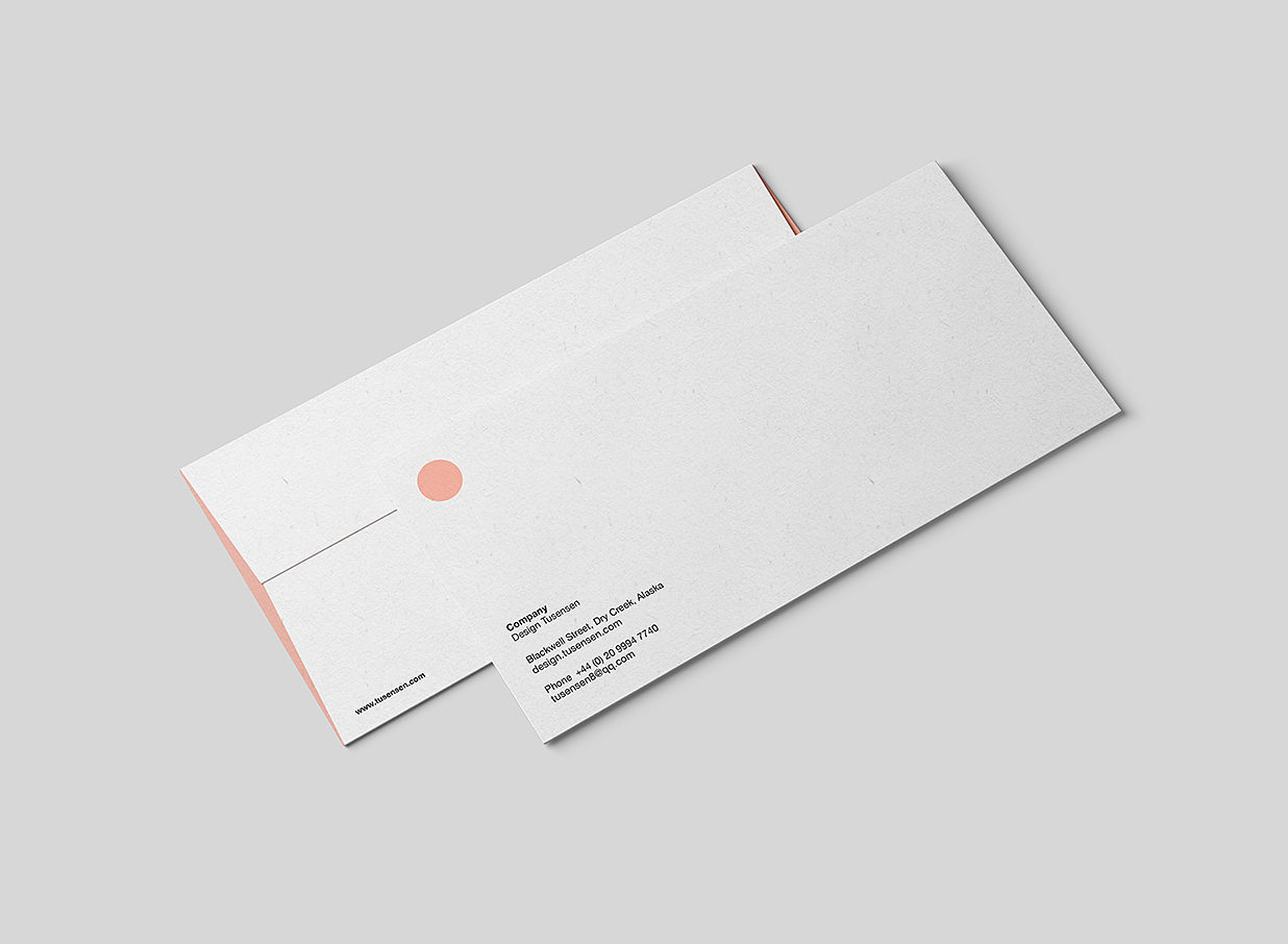 传单DL信封设计样机7组插图3