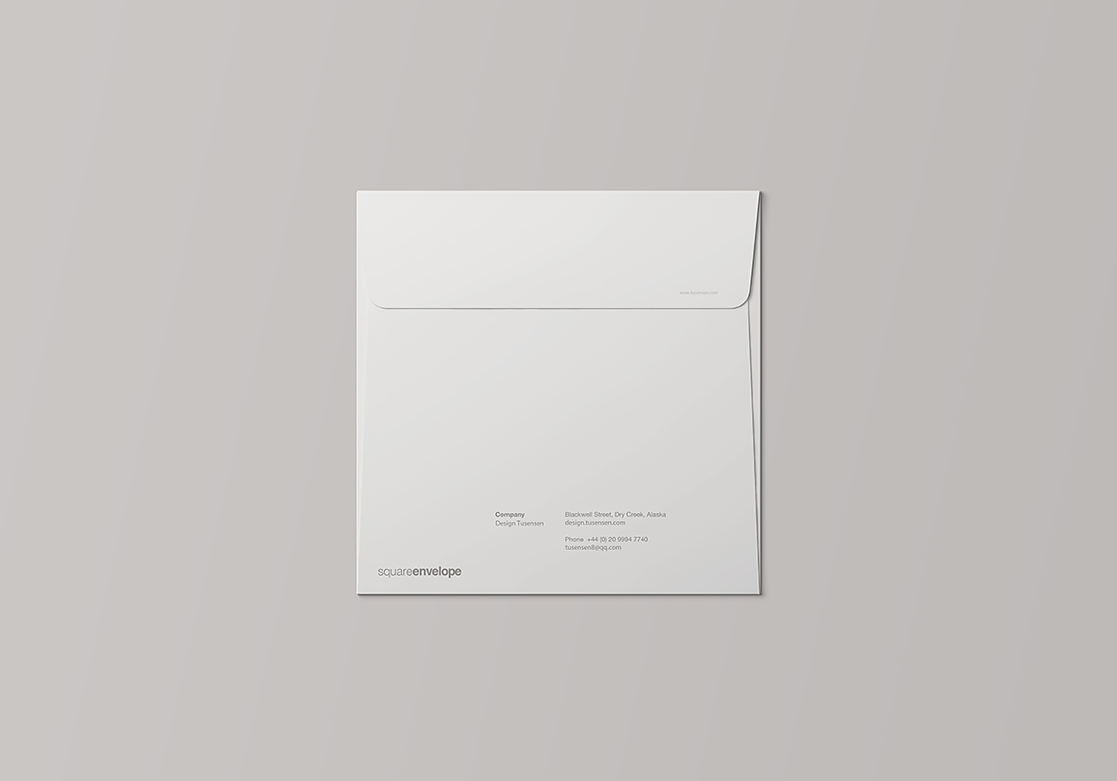 方形企业信封设计样机7组插图3
