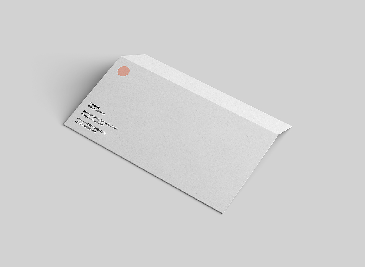 传单DL信封设计样机7组插图4