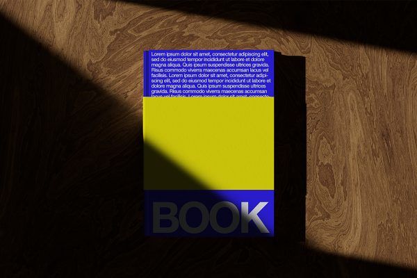阳光下的精装书籍样机