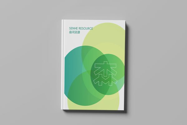 优雅的精装书籍样机2组