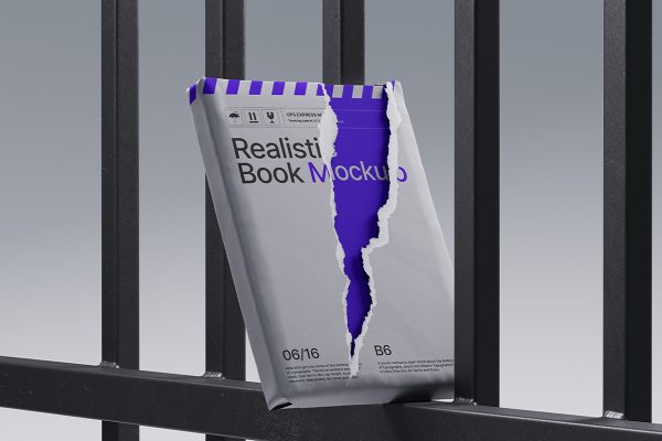 带包装的书籍样机
