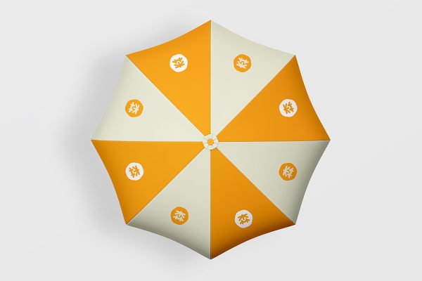 精致雨伞太阳伞样机2组