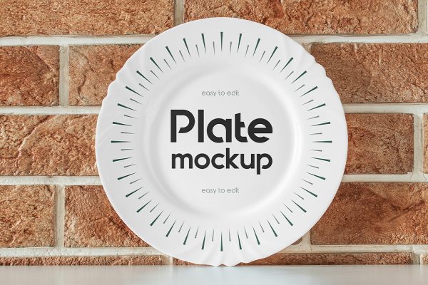 餐具盘子餐盘样机2组