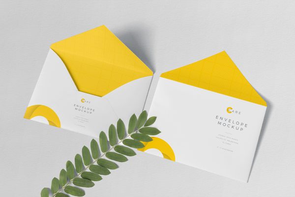 带绿植的信封样机4组Mockup