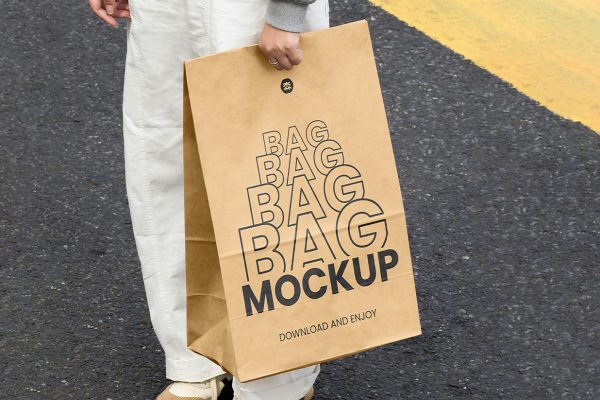 超大牛皮纸食品袋样机