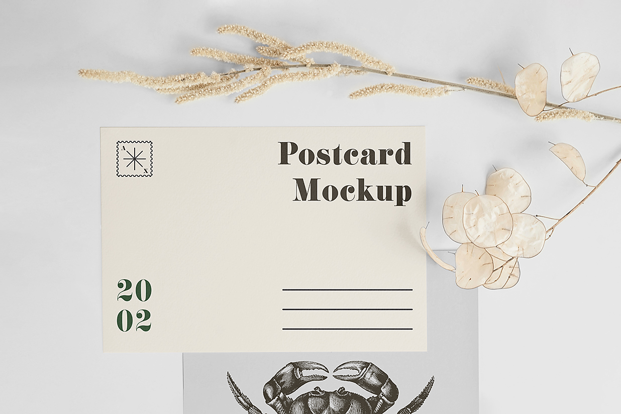 带场景的明信片和信封样机mockup插图