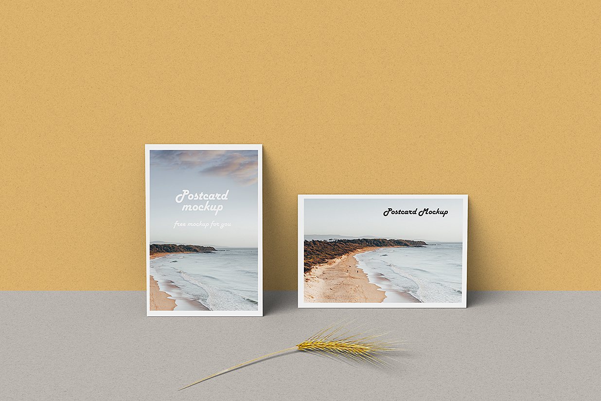 带墙面场景的明信片样机mockup3组插图