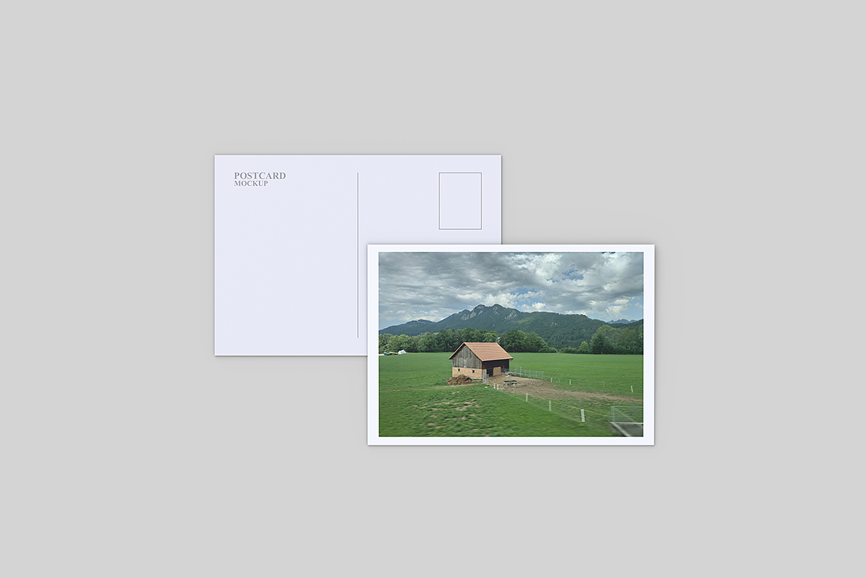 简明信片样机mockup插图