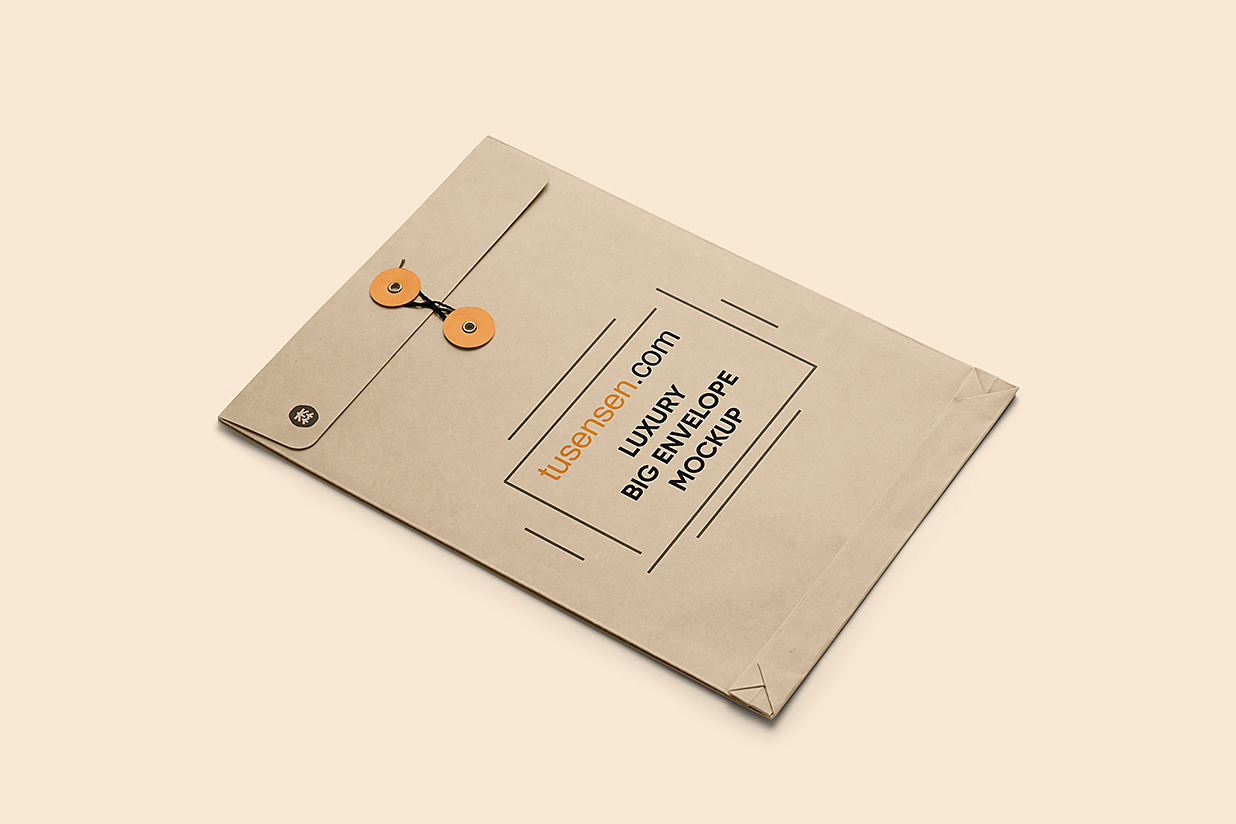 纸质文件袋档案袋信封袋样机mockup插图