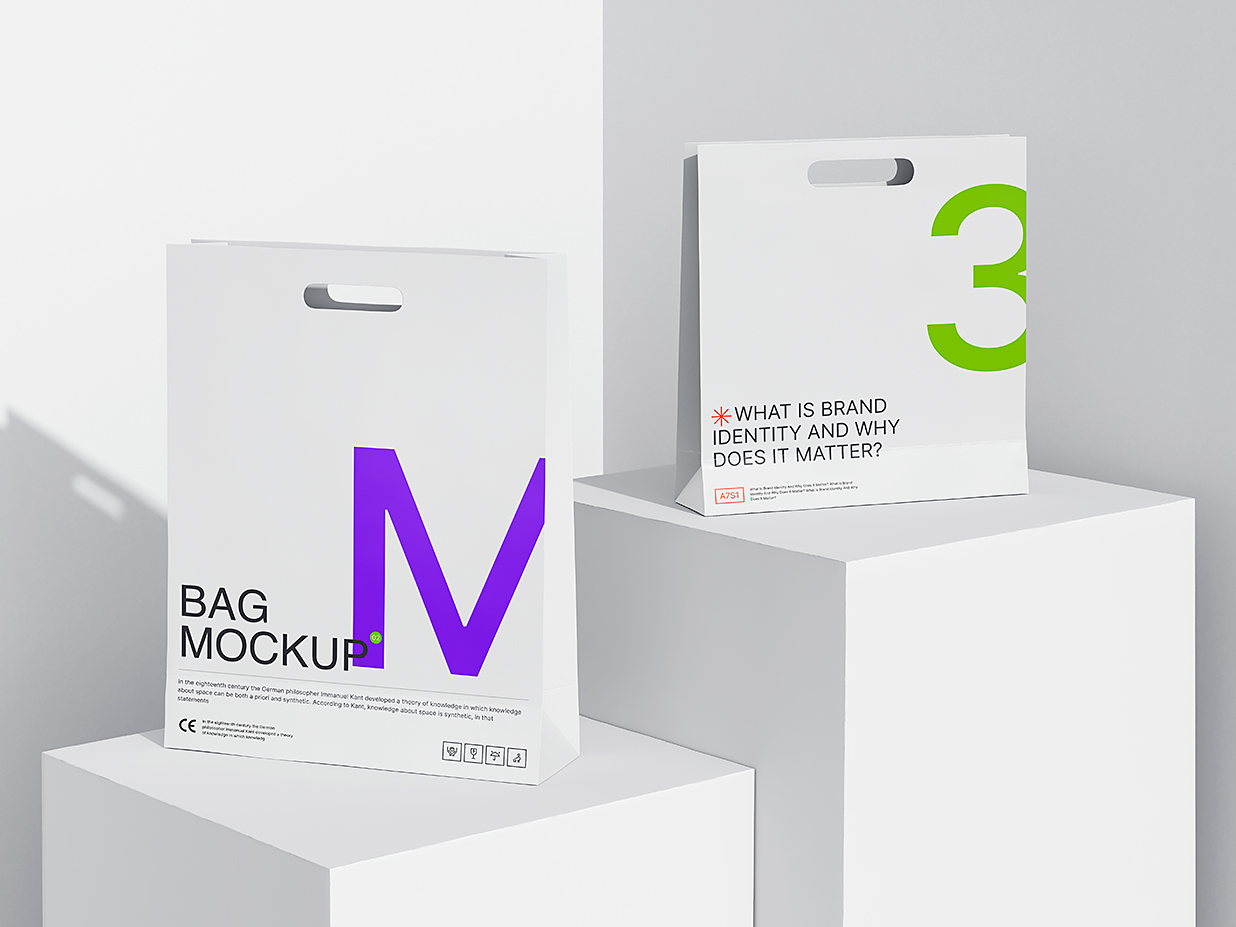 简约的手提袋纸袋购物袋样机mockup插图