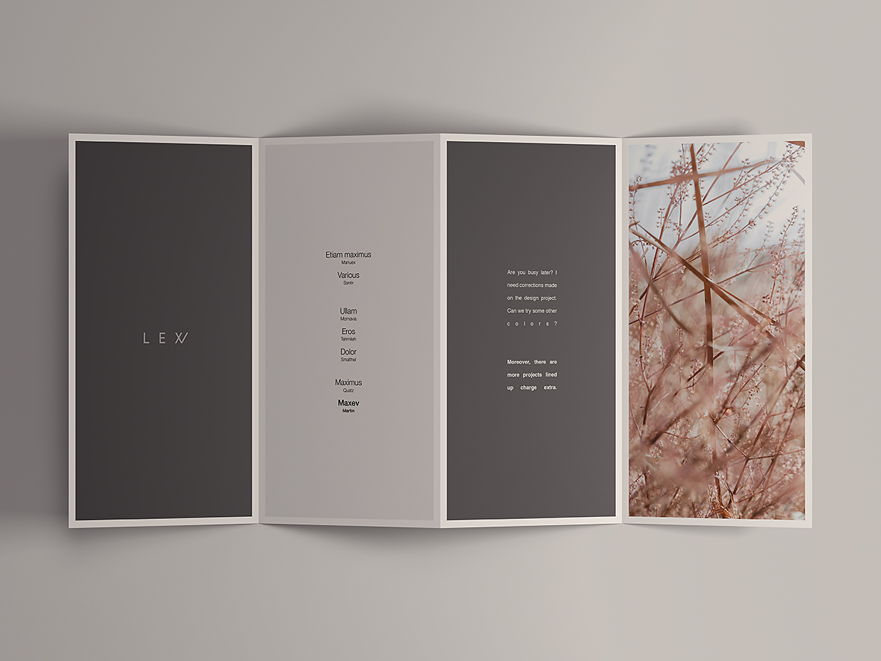 展开的四折页样机mockup插图