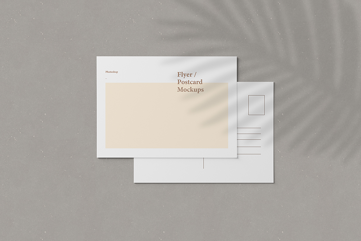 简约明信片样机mockup4组插图1