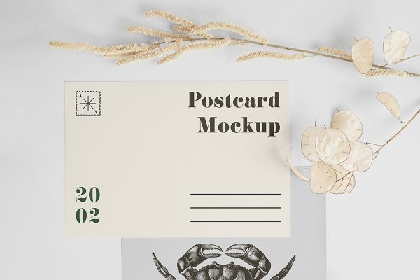 带场景的明信片和信封样机mockup