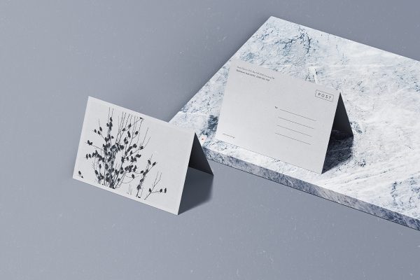 带场景的折页明信片样机mockup