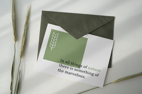 带信封的明信片样机mockup