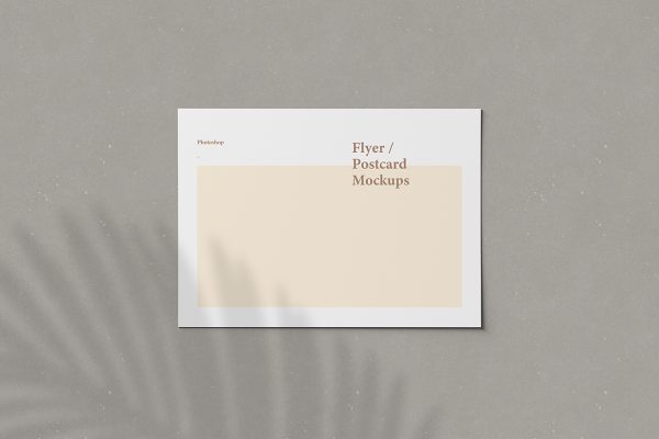 简约明信片样机mockup4组