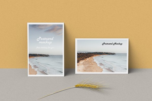 带墙面场景的明信片样机mockup3组