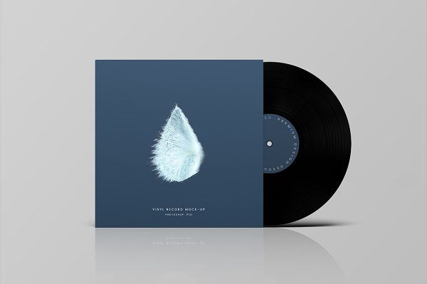 带包装的优雅黑胶唱片样机mockup