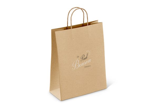 经典牛皮纸手提袋纸袋样机mockup2组