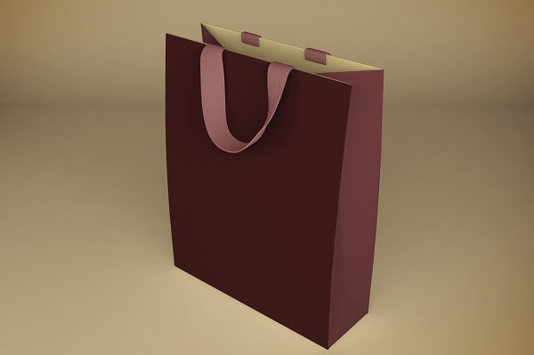 购物袋手提袋礼品袋纸袋样机mockup5组