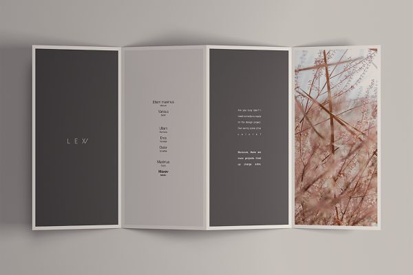 展开的四折页样机mockup