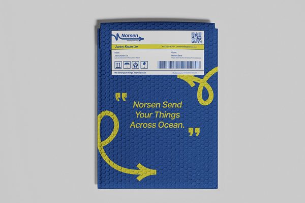 气泡膜快递袋包装样机mockup2组