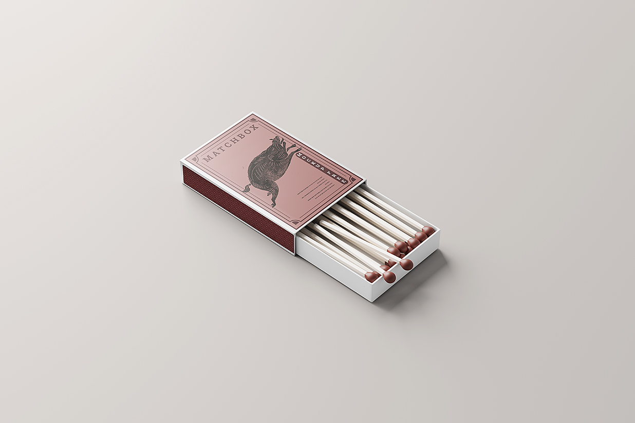 高质感火柴盒包装样机mockup5组插图2
