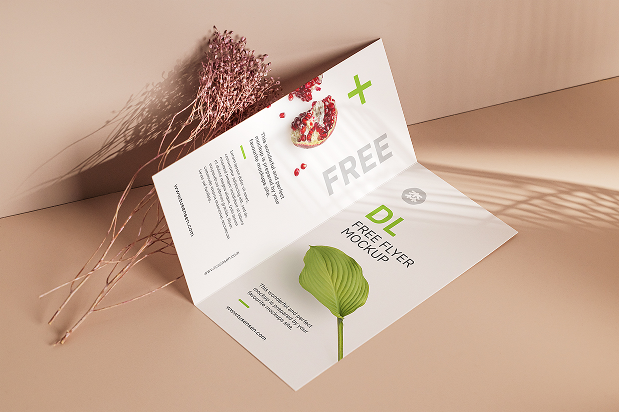 带干花场景的折页双折页样机mockup插图