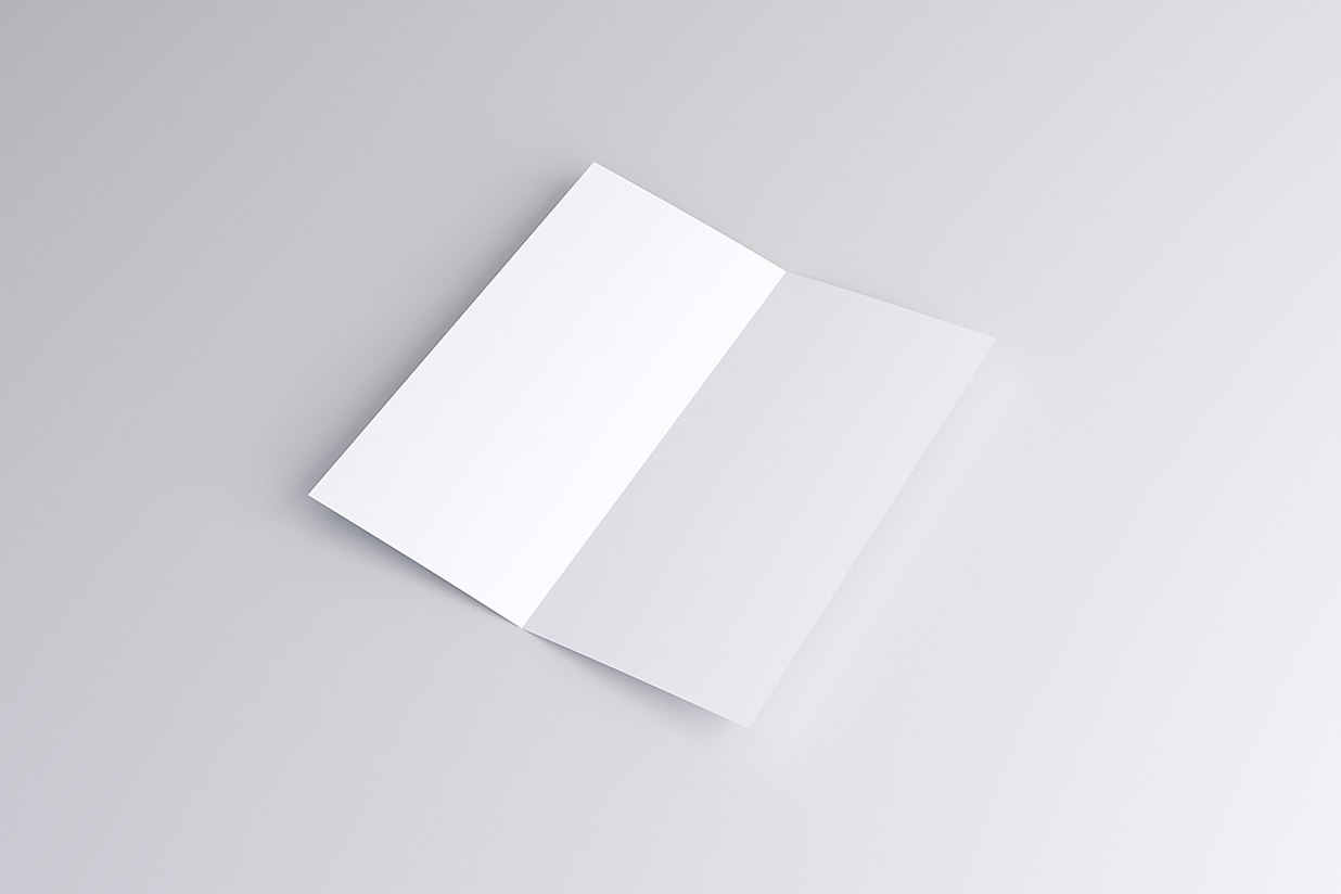 竖版折页双折页样机mockup6组插图6