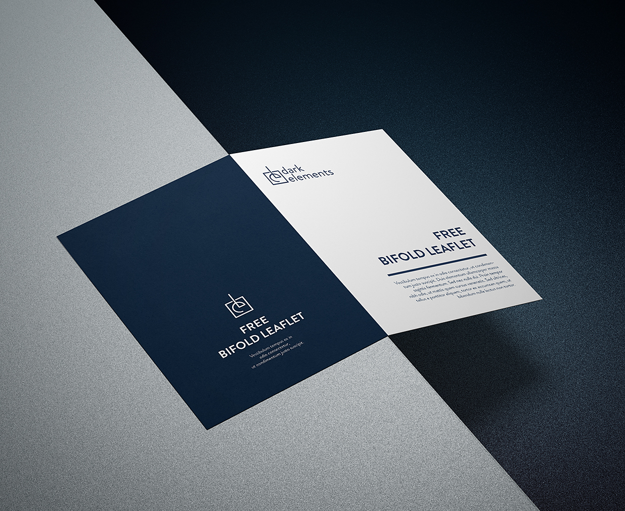 折页双折页样机mockup2组插图