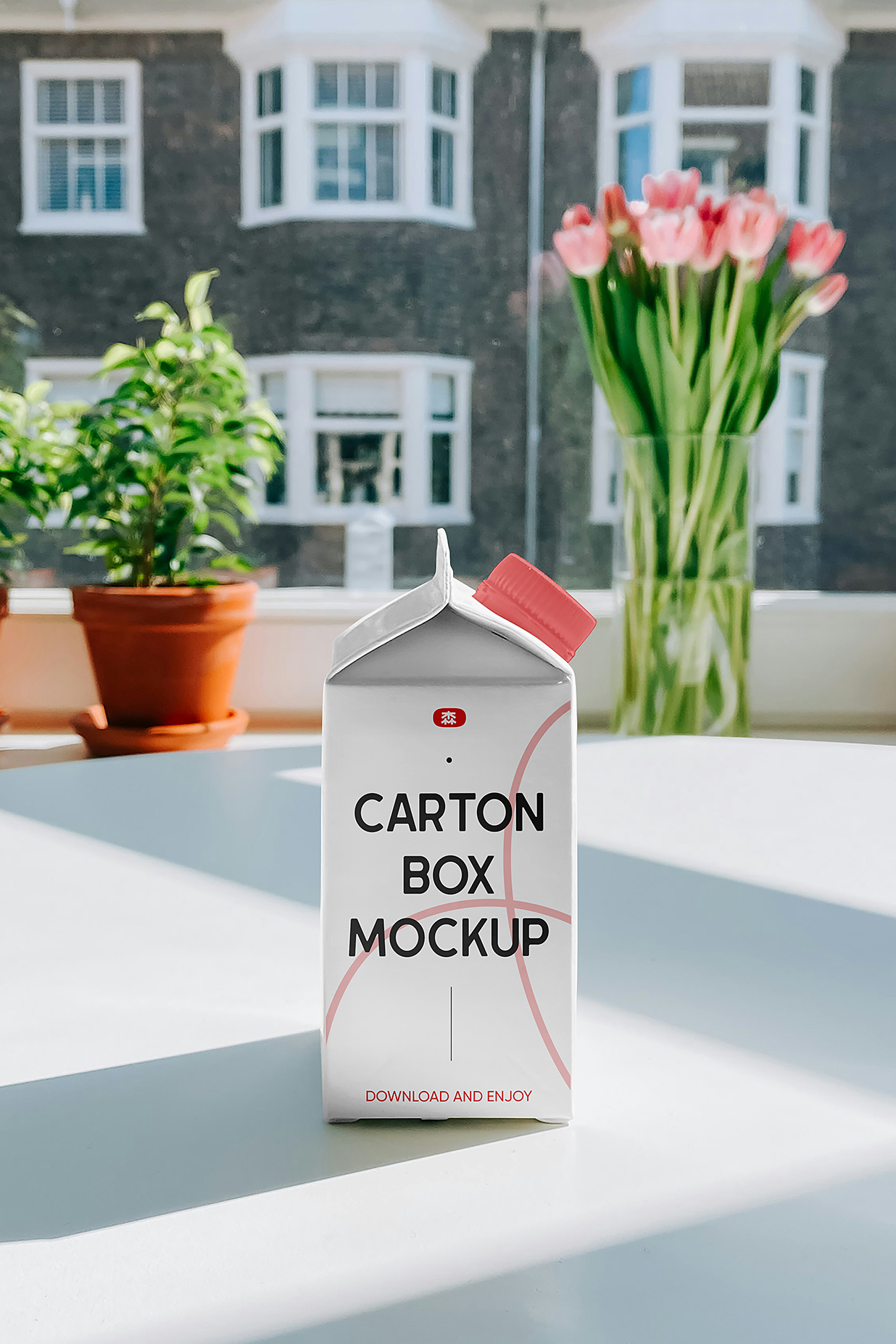 带场景的果汁盒牛奶盒包装样机mockup插图