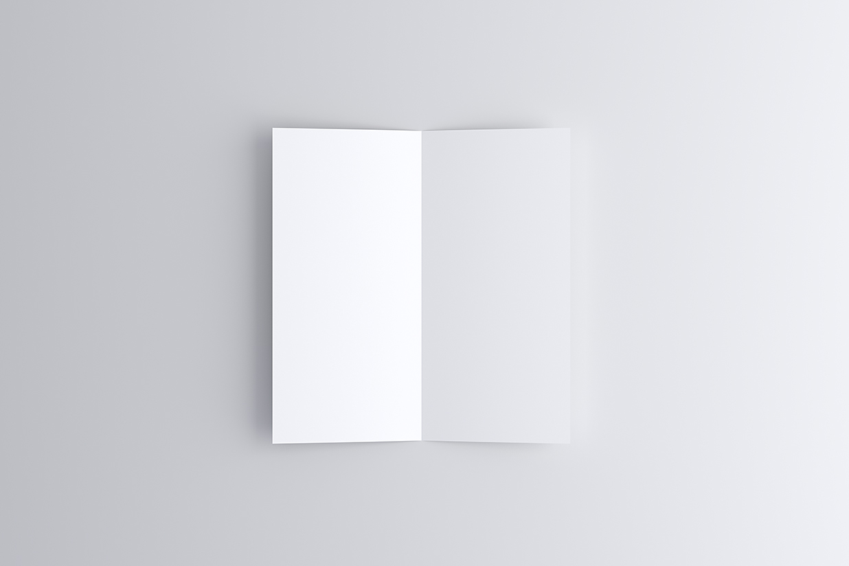 竖版折页双折页样机mockup6组插图7