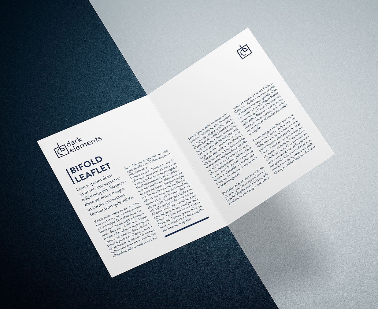 折页双折页样机mockup2组插图1