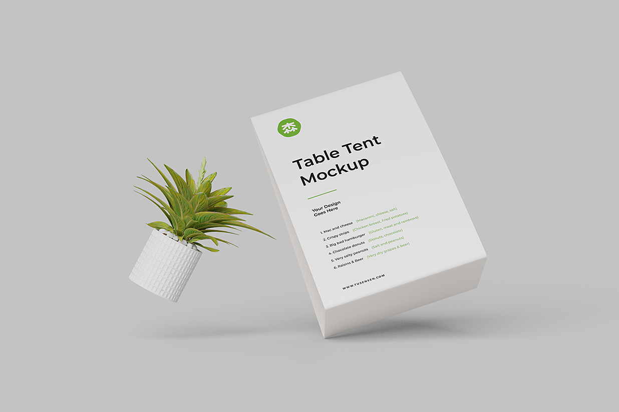 精致的桌牌台卡样机mockup3组插图2